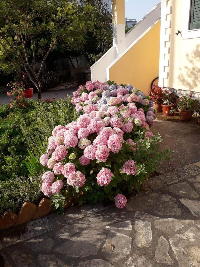 Villa Violeta Ksamil Bagian luar foto